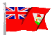 Bermuda  > free